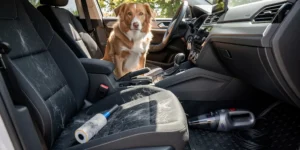 comment enlever les poils de chiens dans une voiture